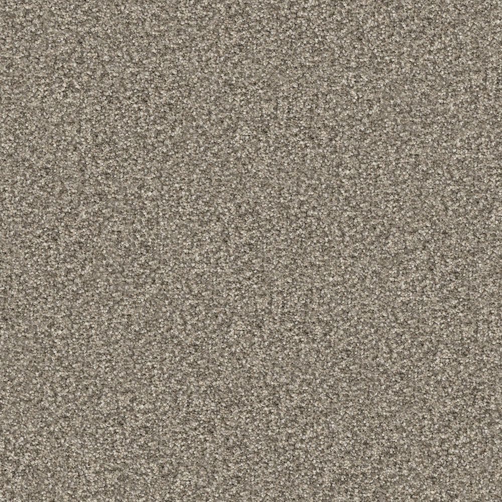 Masland Falcon Crest Carpet in Lassie, , large