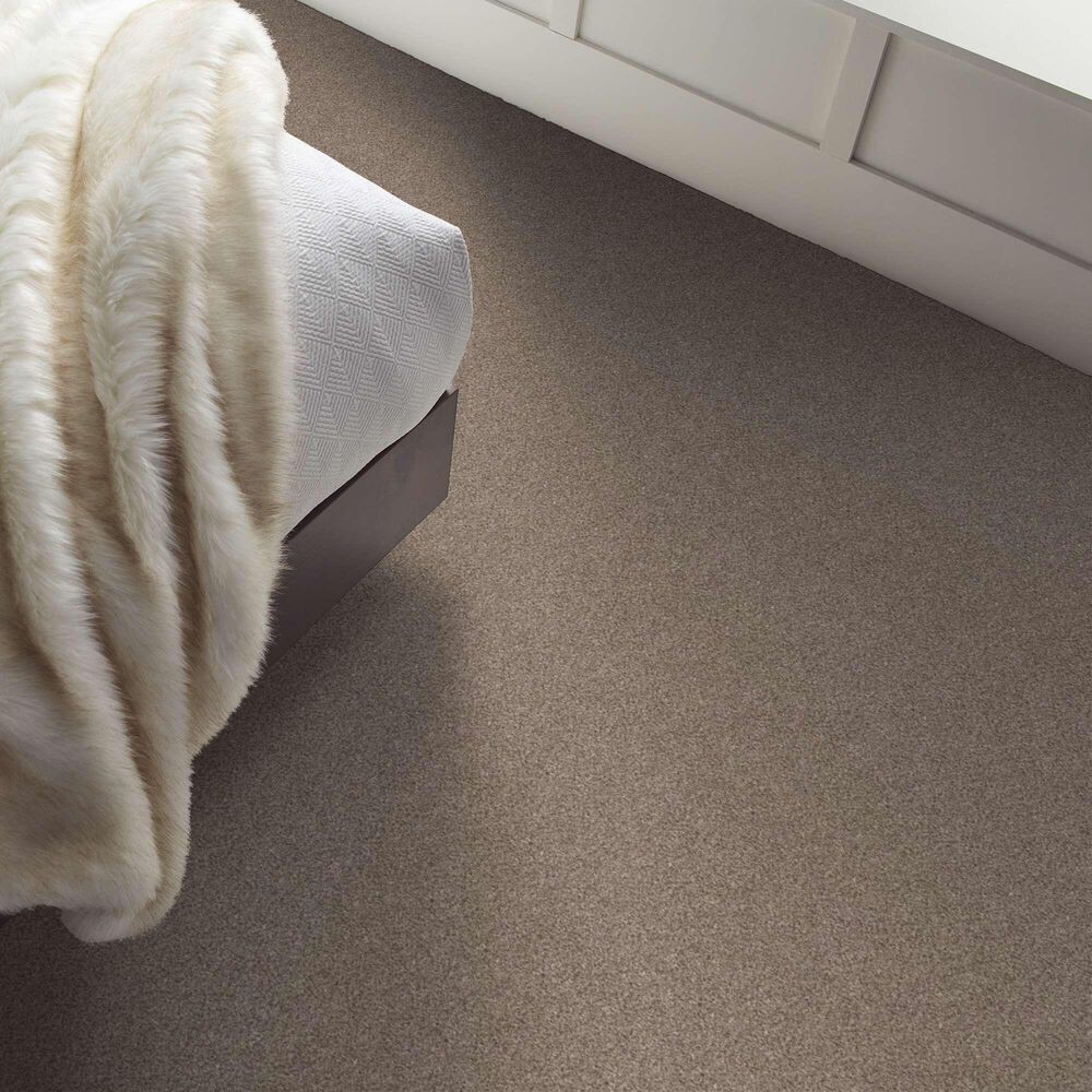 Shaw After It II Carpet in Neutral Ground, , large
