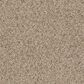 Shaw Frosting Carpet in Salty Butter, , large