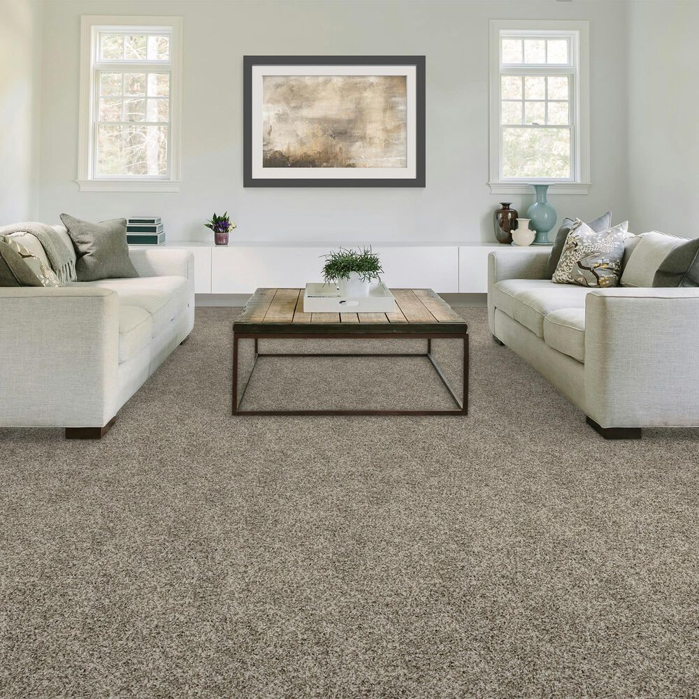Mohawk Purrsonality III Carpet in Pebble Trail, , large