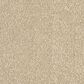 Revolution Mills Momentum II Carpet in Westwood, , large