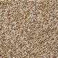 Shaw Tonal Comfort Blue Carpet in Falling Leaves, , large