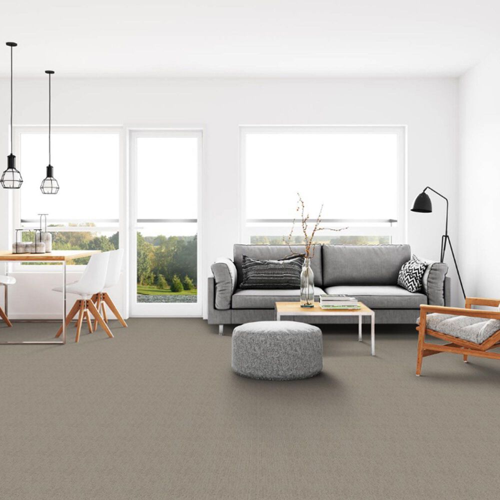 Dixie Home Worthington Carpet in Intensity, , large