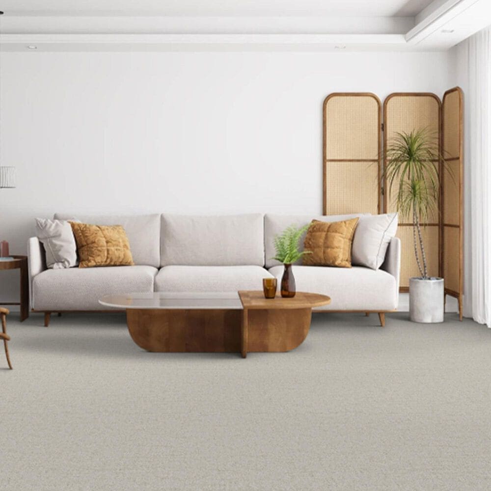 Dixie Home Genuine Carpet in Natural, , large