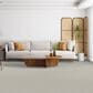 Dixie Home Genuine Carpet in Natural, , large