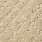 Anderson Tuftex Mosaic Carpet in Bungalow, , large