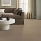 Anderson Tuftex Luxe Feel II Carpet in Gentle Doe, , large