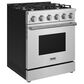 Thor Kitchen S Series 30" Professional Gas Range in Stainless Steel, , large
