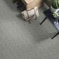 Anderson Tuftex Loredo Carpet in Swept Away, , large