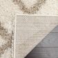 Safavieh Dallas Shag SGD258B-5 5"1" x 7"6" Ivory/Beige Area Rug, , large