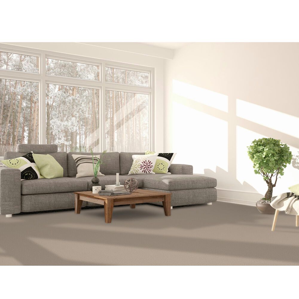 Dream Weaver East Hampton 2550 Carpet in Sawgrass, , large