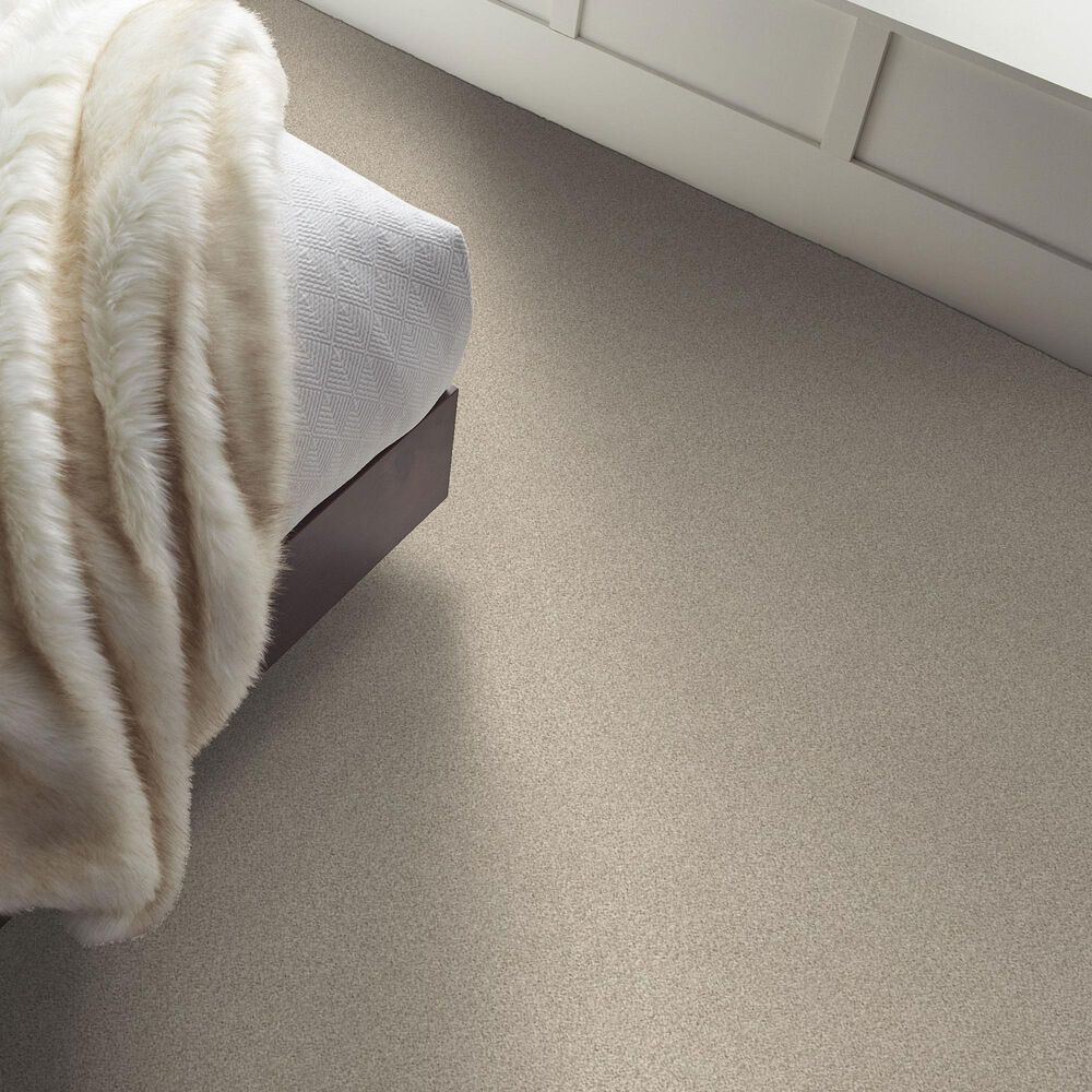 Shaw Comforting II Carpet in Shadow, , large