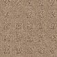 Anderson Tuftex West Coast Carpet in Spanish Sand, , large