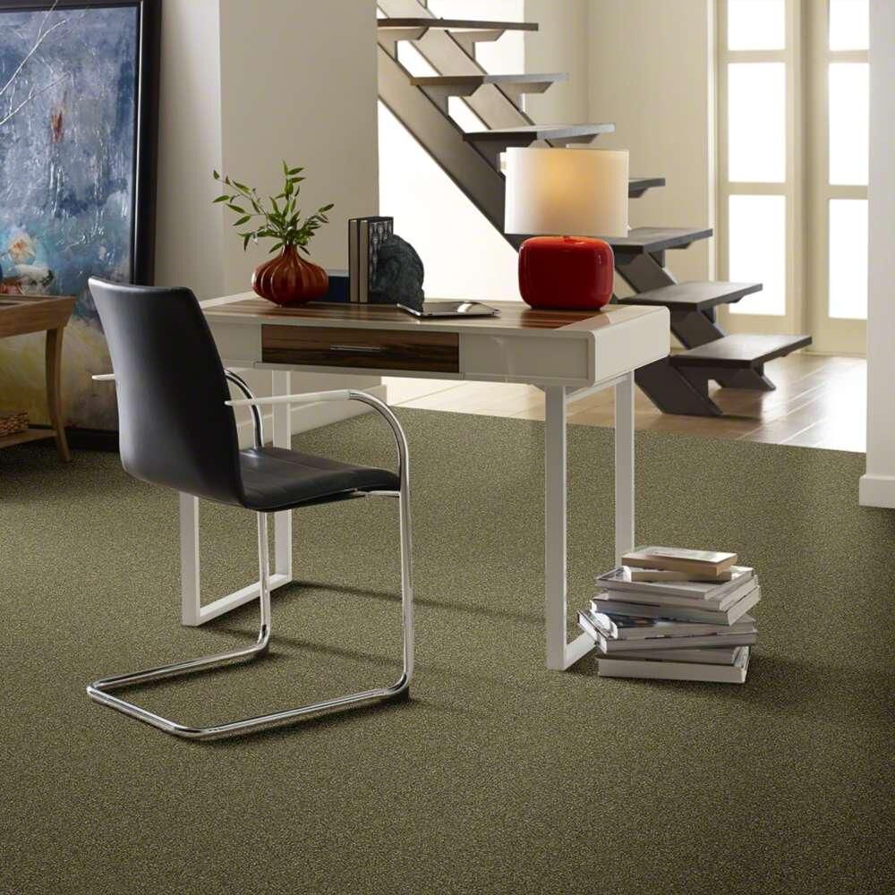 Shaw Points Of Color II Carpet in Chameleon , , large