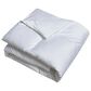 Blue Ridge Home Fashions Twin All Season Down Alternative Comforter in White, , large