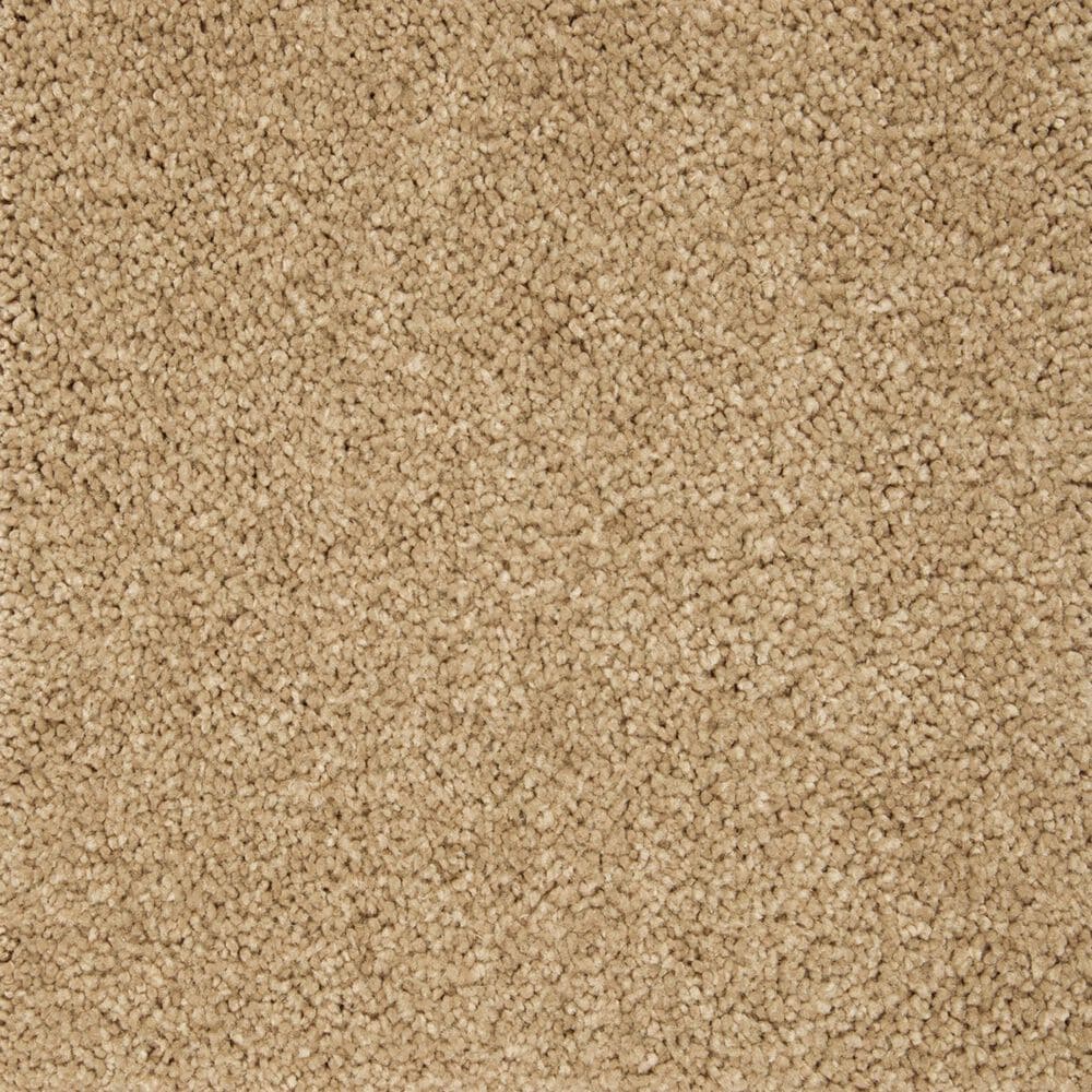 Mohawk Pleasant Touch Carpet in Canterbury, , large