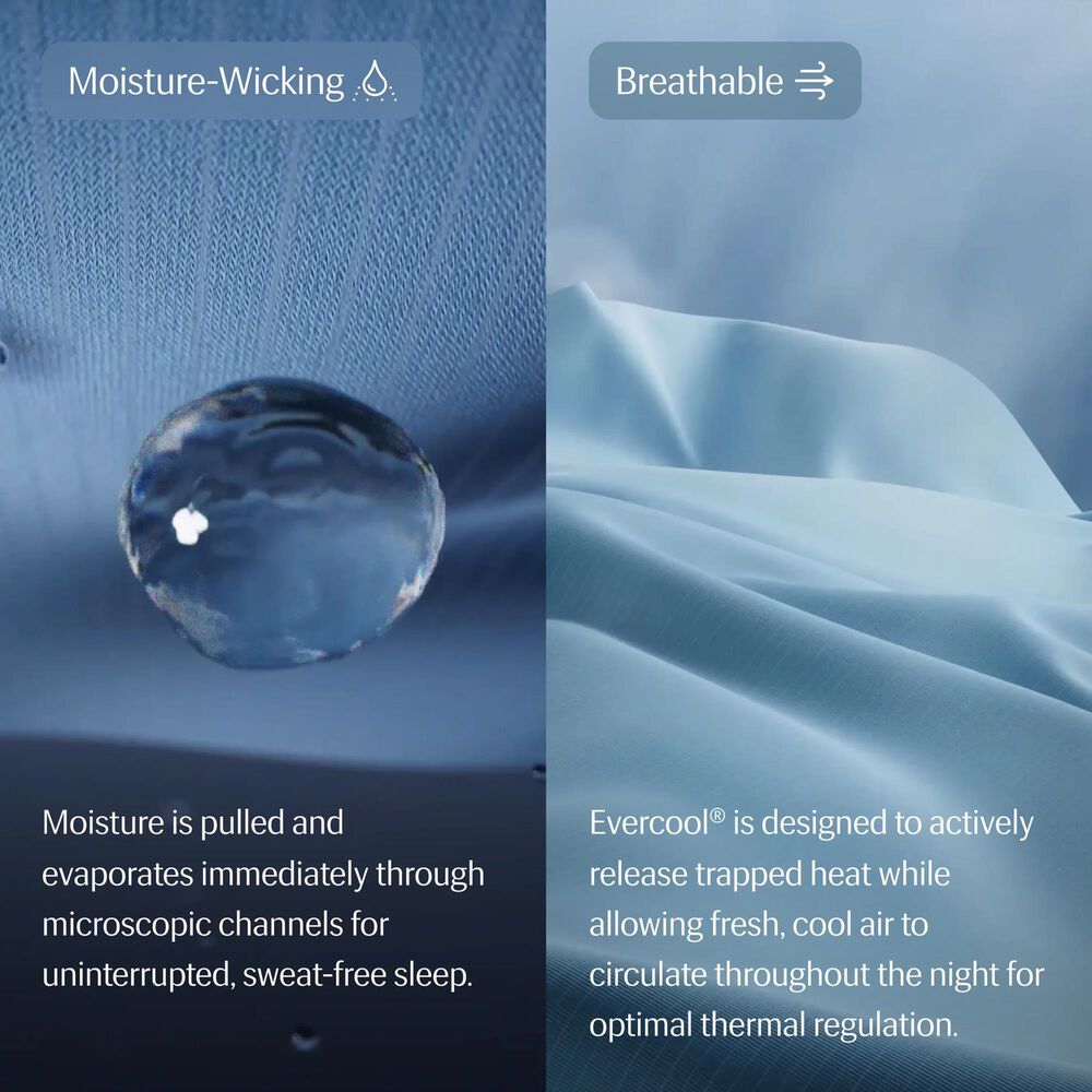 Rest Evercool Full/Queen Comforter in Midnight Blue, , large