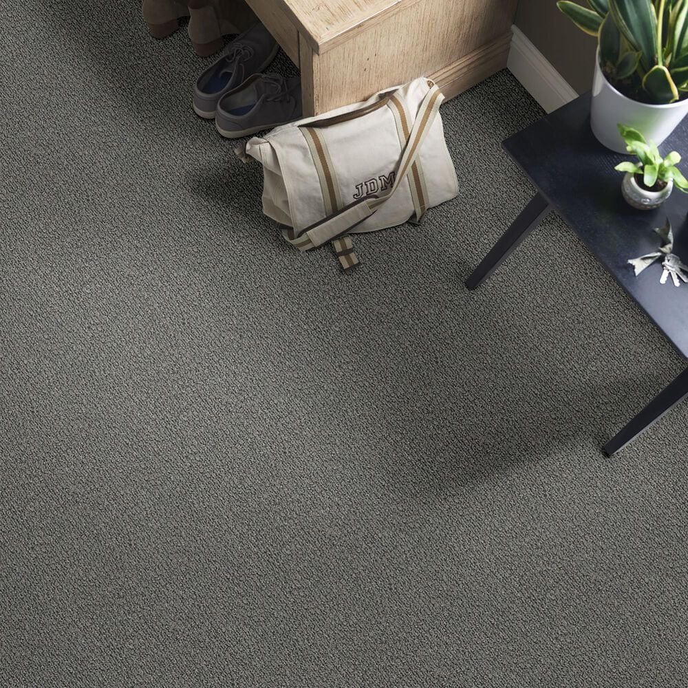 Anderson Tuftex Fur-Ever Carpet in Kendall, , large