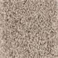 Shaw Bellera Calm Serenity II Carpet in Beige Bisque, , large