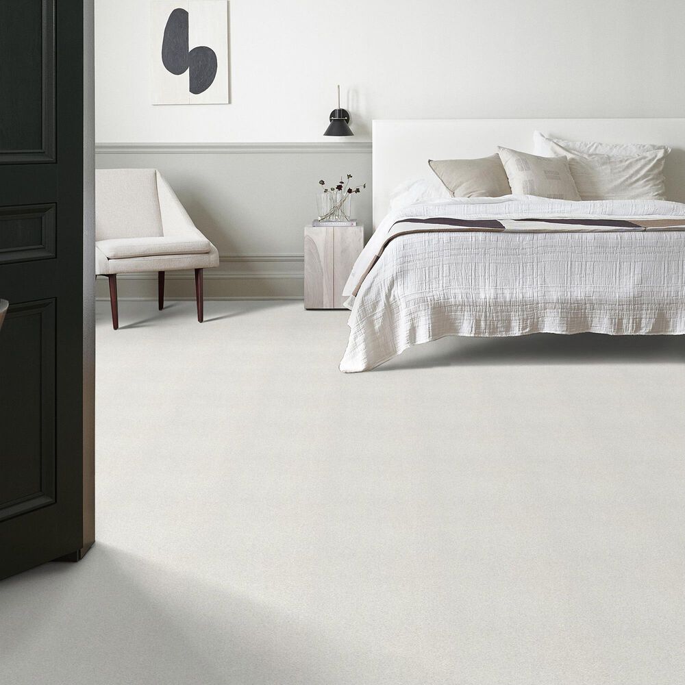 Shaw Tonal Comfort Ii Carpet in Neighborhood Bistro, , large