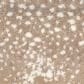 Fabrica Habitat Carpet in Wildebeest, , large