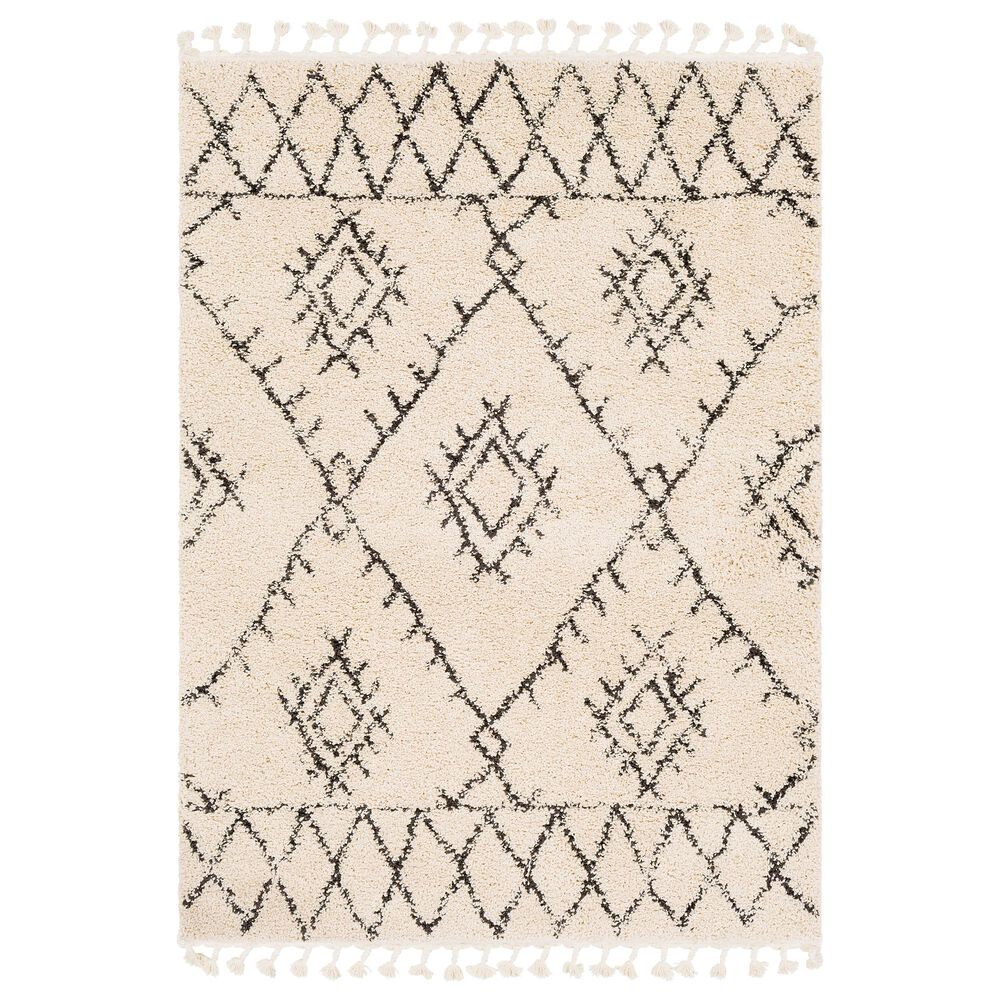 Surya Berber Shag BBE2305 6"7" x 9" Charcoal and Beige Area Rug, , large