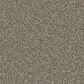 Phenix Vista Gold Carpet in Terrain, , large