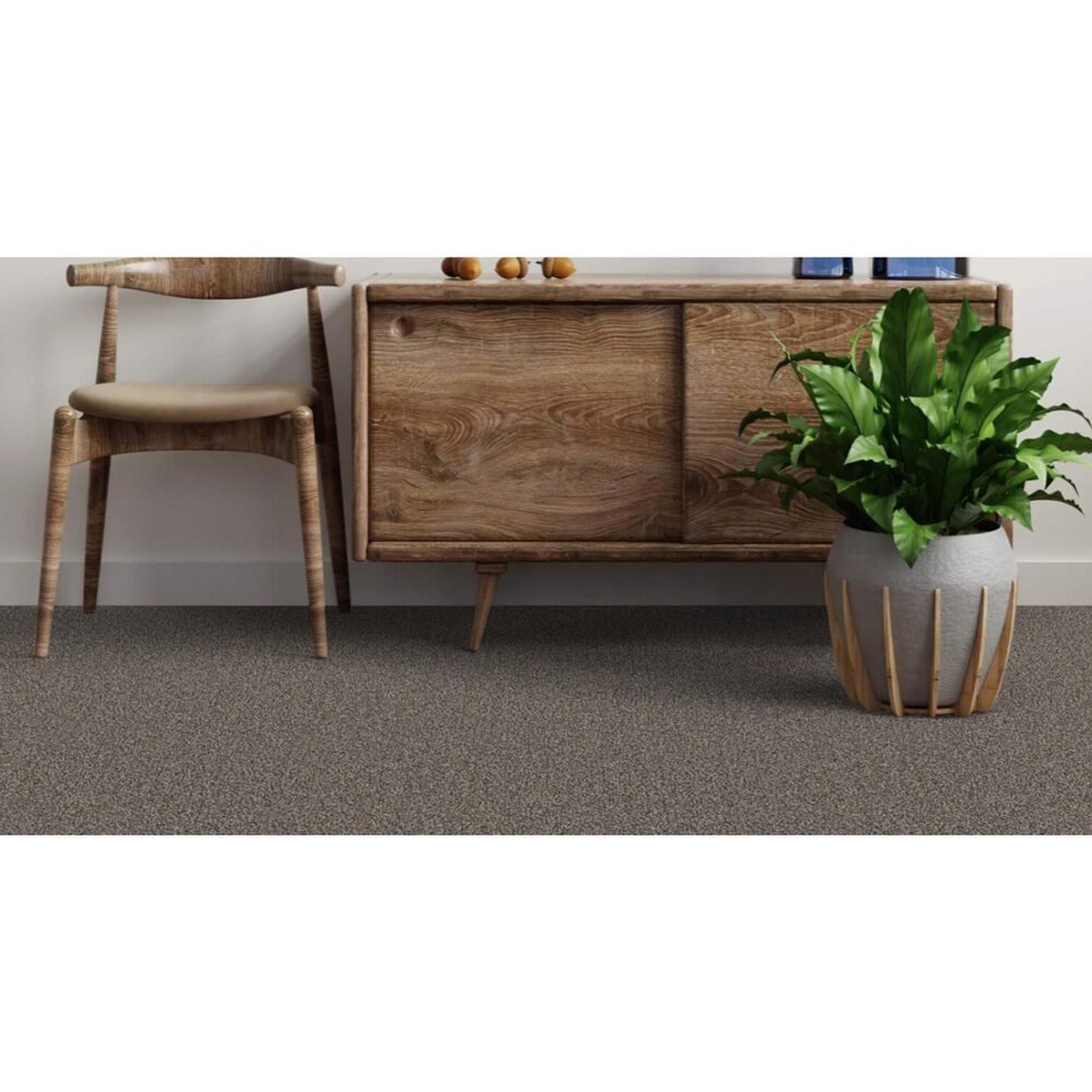 Dixie Home Admire Carpet in Hematite, , large