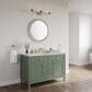 James Martin Vanities Chicago 48" Single Bathroom Vanity in Smokey Celadon with 3 cm Victorian Silver Quartz Top and Rectangular Sink, , large