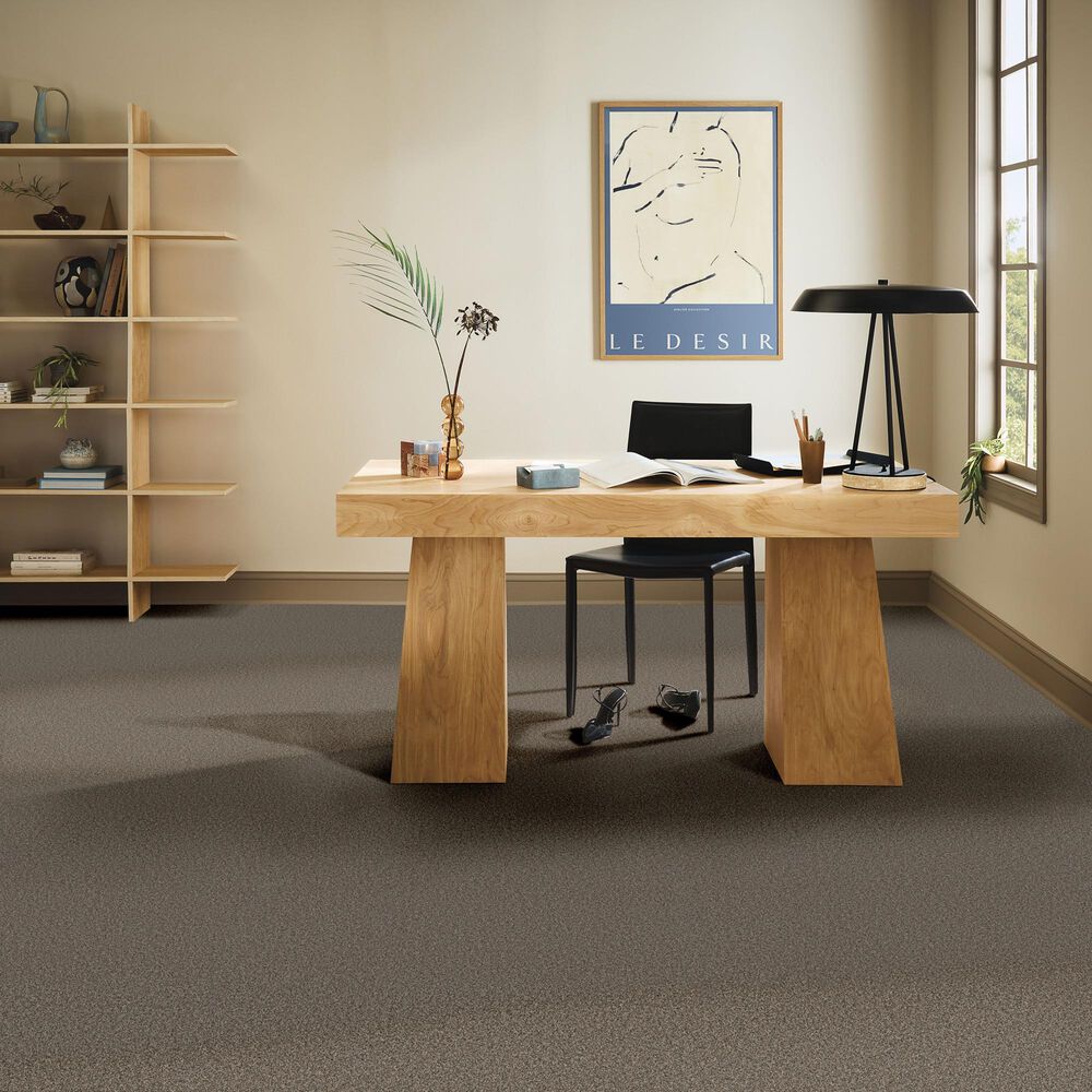 Anderson Tuftex Wyndham Estate Carpet in Sable, , large