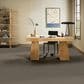 Anderson Tuftex Wyndham Estate Carpet in Sable, , large