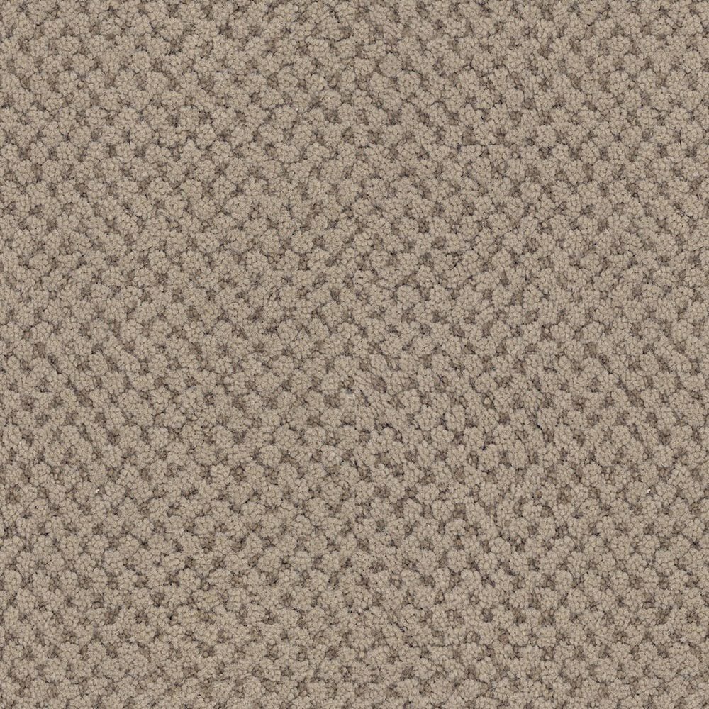 Masland Festivities Carpet in Caf Roast, , large