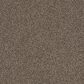 Anderson Tuftex Bali Carpet in Cave, , large