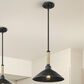 Golden Lighting Journey 1-Light Pendant in Natural Black, , large