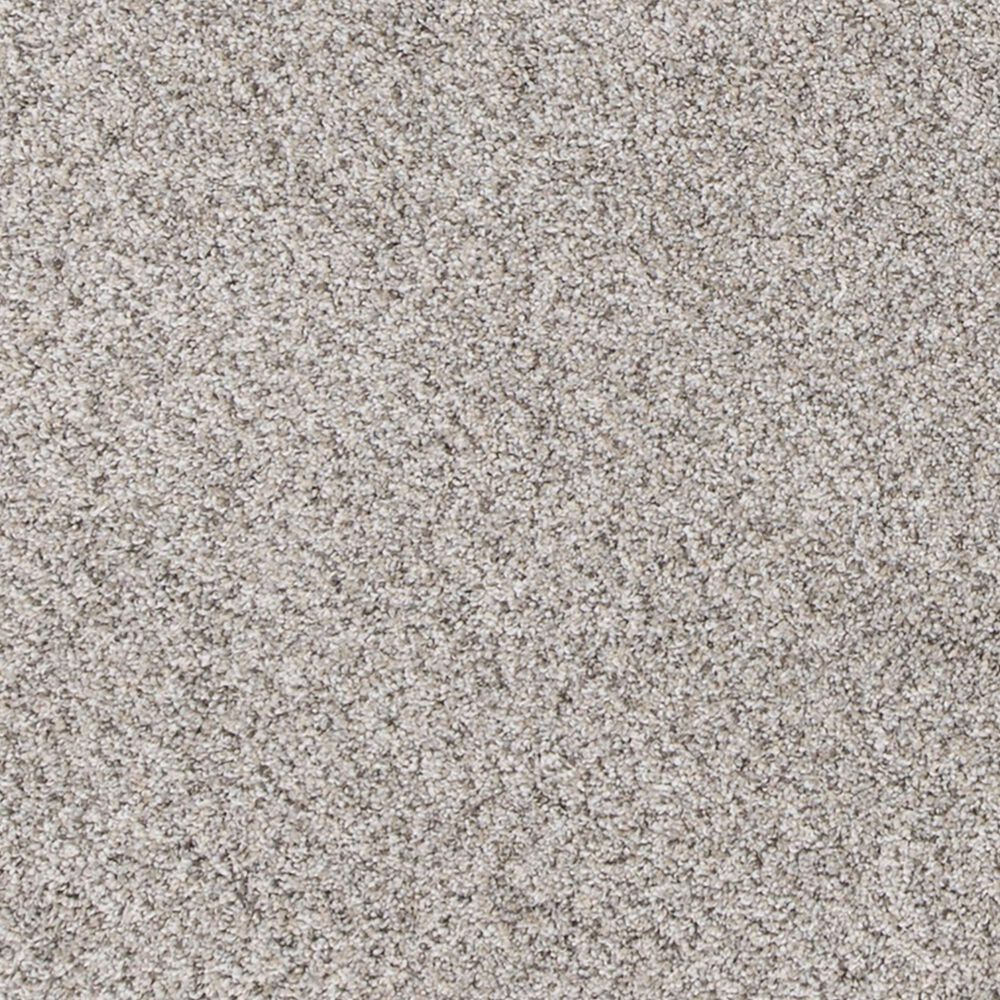 Mohawk Canine Comfort Carpet in Oyster, , large