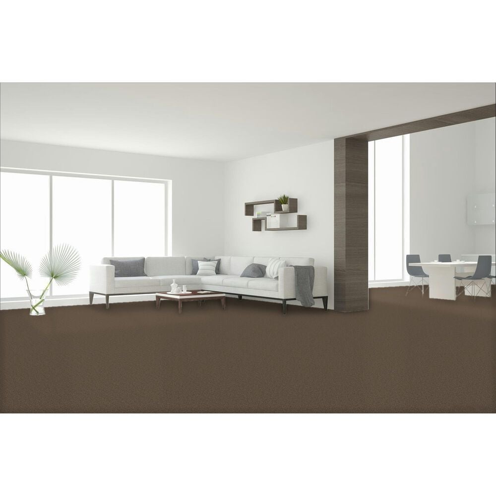Dream Weaver Cape Cod Carpet in Cocoa, , large