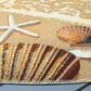 Safavieh Barbados Tropical Beach Seashell 5"3" Round Gold and Blue Indoor/Outdoor Area Rug, , large