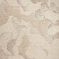 Nourison Avra 7"9" x 9"9" Taupe Area Rug, , large