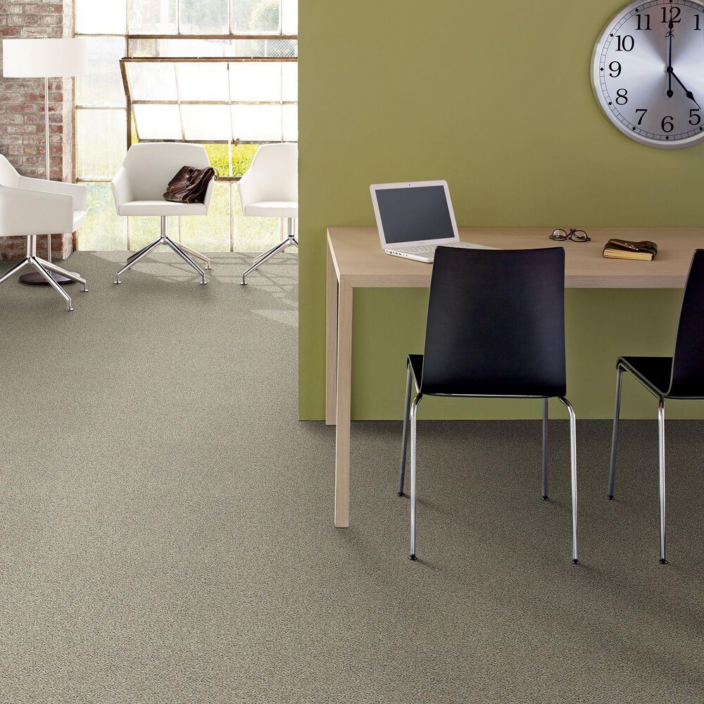 Shaw Anderson Acadia Park Carpet in Shadow, , large