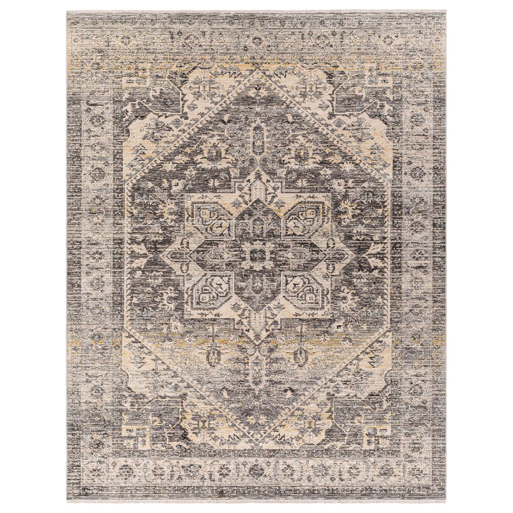 Surya Chicago CHG2316 2"10" x 8" Light Beige, Charcoal, Slate, Black and Blue Runner, , large