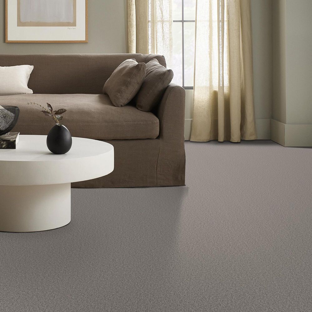 Shaw Tonal Comfort I Carpet in Sunday Stroll, , large