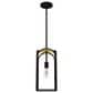Hunter Dukestown 1-Light Mini Pendant in Natural Iron and Gold Leaf, , large