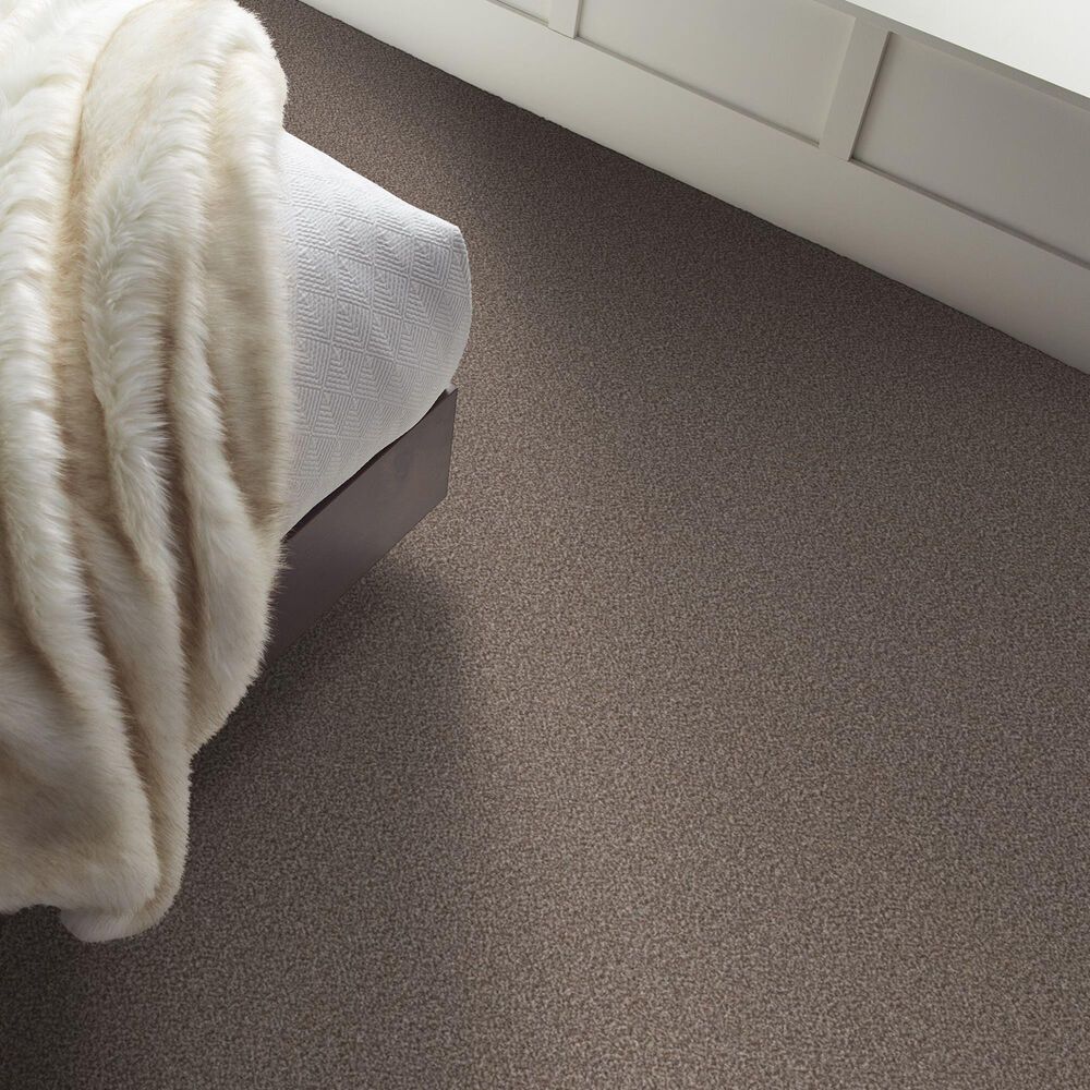 Shaw Truspirit Ii Carpet in Cobble Drive, , large