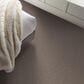 Shaw Truspirit Ii Carpet in Cobble Drive, , large