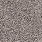 Philadelphia Caress by Shaw Cozy Harbor II Carpet in Stucco, , large