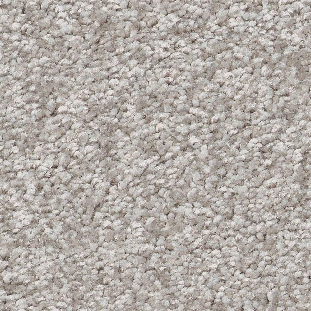 Shaw You Got This III Carpet in Frozen, , large