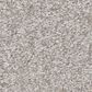 Shaw You Got This III Carpet in Frozen, , large
