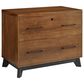Wycliff Bay Avery 2-Drawer Lateral File in Chestnut Brown, , large