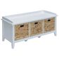 Hearth and Haven Flavius Storage Bench with Rattan Baskets in White and Brown, , large