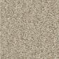 Shaw Tonal Comfort II Carpet in Sand Castle, , large